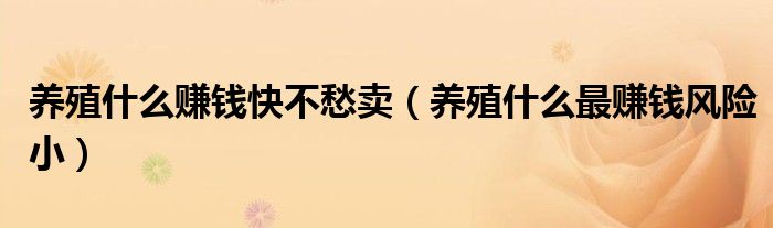养殖什么赚钱快不愁卖（养殖什么最赚钱风险小）