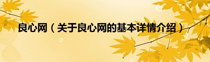 良心网（关于良心网的基本详情介绍）