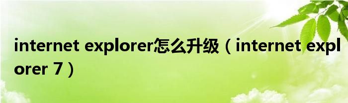 internet explorer怎么升级（internet explorer 7）