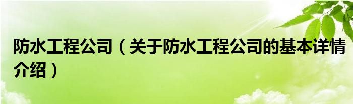 防水工程公司（关于防水工程公司的基本详情介绍）