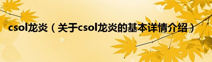 csol龙炎（关于csol龙炎的基本详情介绍）