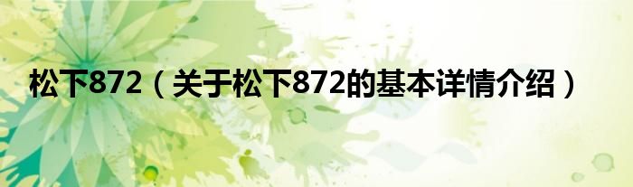 松下872（关于松下872的基本详情介绍）