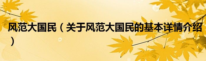 风范大国民（关于风范大国民的基本详情介绍）