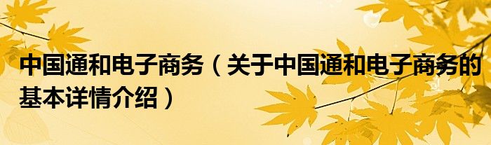 中国通和电子商务（关于中国通和电子商务的基本详情介绍）