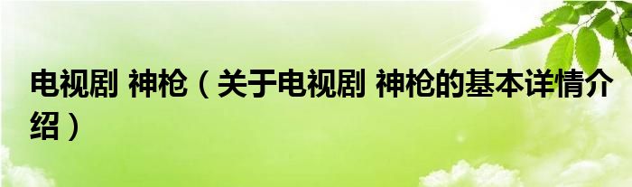 电视剧 神枪（关于电视剧 神枪的基本详情介绍）