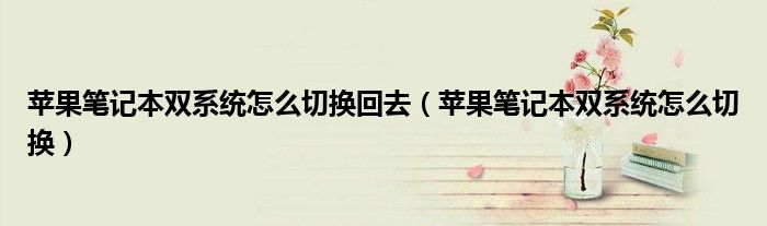 苹果笔记本双系统怎么切换回去（苹果笔记本双系统怎么切换）