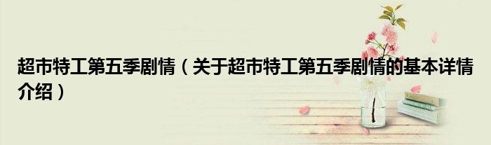 超市特工第五季剧情（关于超市特工第五季剧情的基本详情介绍）
