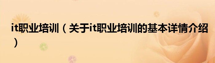 it职业培训（关于it职业培训的基本详情介绍）