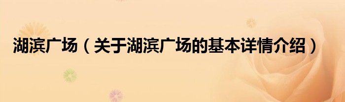 湖滨广场（关于湖滨广场的基本详情介绍）