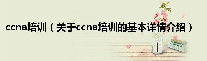 ccna培训（关于ccna培训的基本详情介绍）
