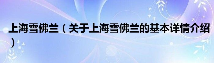 上海雪佛兰（关于上海雪佛兰的基本详情介绍）