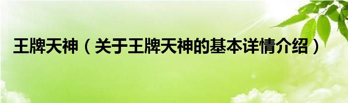 王牌天神（关于王牌天神的基本详情介绍）