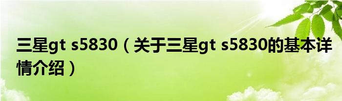 三星gt s5830（关于三星gt s5830的基本详情介绍）