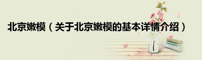 北京嫩模（关于北京嫩模的基本详情介绍）