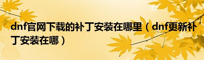 dnf官网下载的补丁安装在哪里（dnf更新补丁安装在哪）