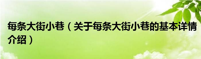 每条大街小巷（关于每条大街小巷的基本详情介绍）