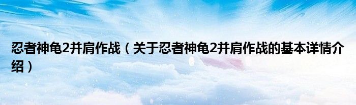 忍者神龟2并肩作战（关于忍者神龟2并肩作战的基本详情介绍）