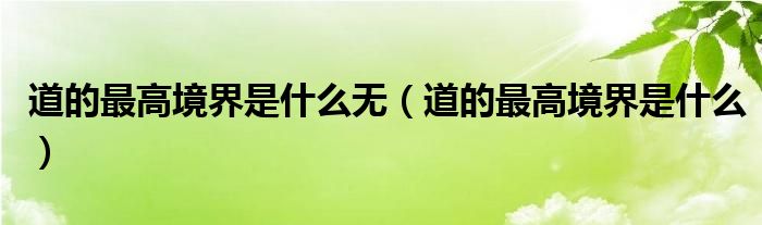道的最高境界是什么无（道的最高境界是什么）