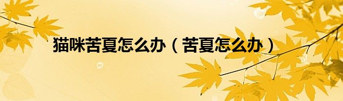 猫咪苦夏怎么办（苦夏怎么办）