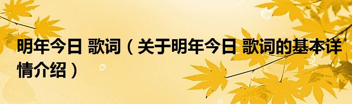明年今日 歌词（关于明年今日 歌词的基本详情介绍）