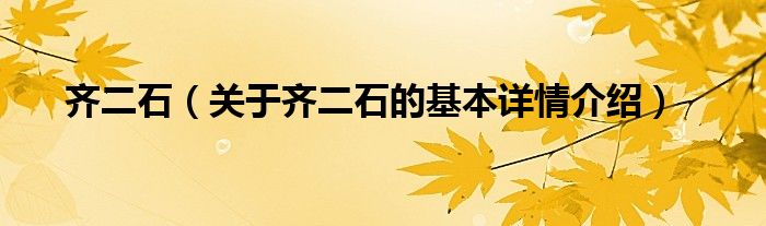 齐二石（关于齐二石的基本详情介绍）