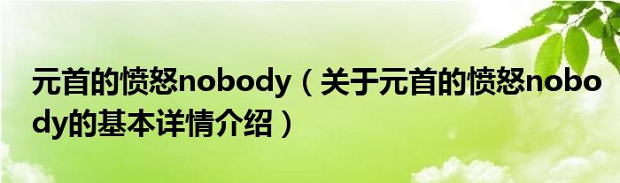 元首的愤怒nobody（关于元首的愤怒nobody的基本详情介绍）