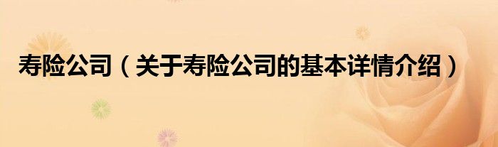 寿险公司（关于寿险公司的基本详情介绍）