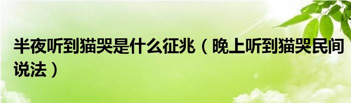 半夜听到猫哭是什么征兆（晚上听到猫哭民间说法）