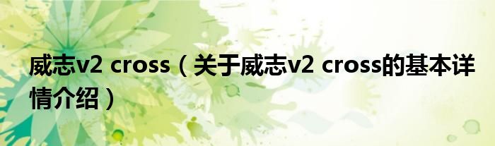 威志v2 cross（关于威志v2 cross的基本详情介绍）
