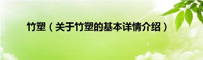 竹塑（关于竹塑的基本详情介绍）