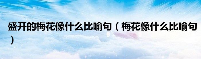 盛开的梅花像什么比喻句（梅花像什么比喻句）