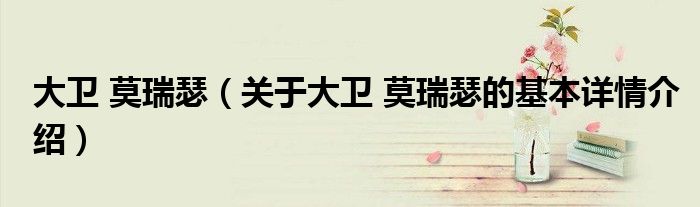 大卫 莫瑞瑟（关于大卫 莫瑞瑟的基本详情介绍）