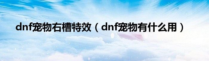 dnf宠物右槽特效（dnf宠物有什么用）