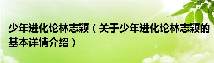 少年进化论林志颖（关于少年进化论林志颖的基本详情介绍）