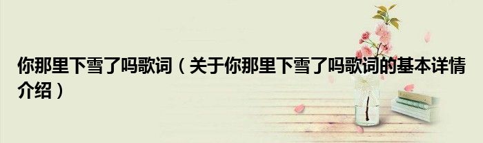 你那里下雪了吗歌词（关于你那里下雪了吗歌词的基本详情介绍）
