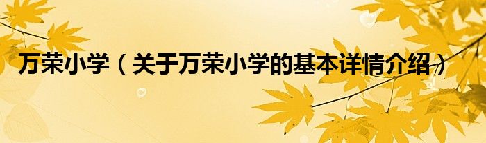 万荣小学（关于万荣小学的基本详情介绍）