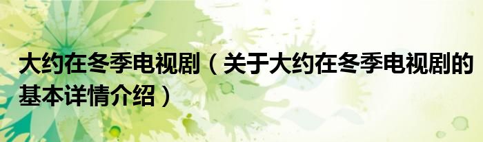大约在冬季电视剧（关于大约在冬季电视剧的基本详情介绍）