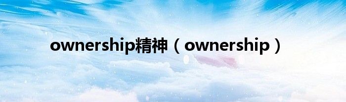ownership精神（ownership）