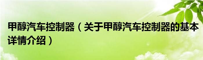 甲醇汽车控制器（关于甲醇汽车控制器的基本详情介绍）