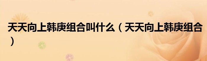 天天向上韩庚组合叫什么（天天向上韩庚组合）
