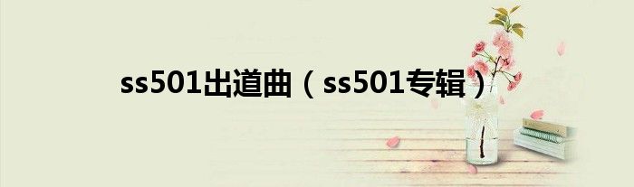 ss501出道曲（ss501专辑）