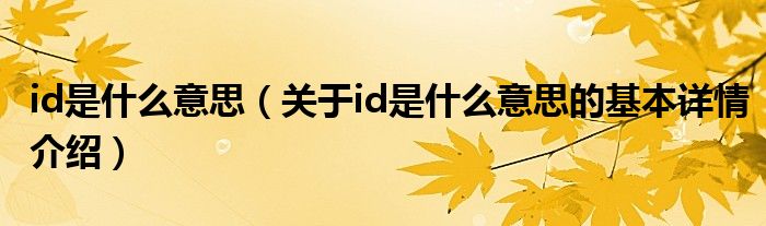 id是什么意思（关于id是什么意思的基本详情介绍）
