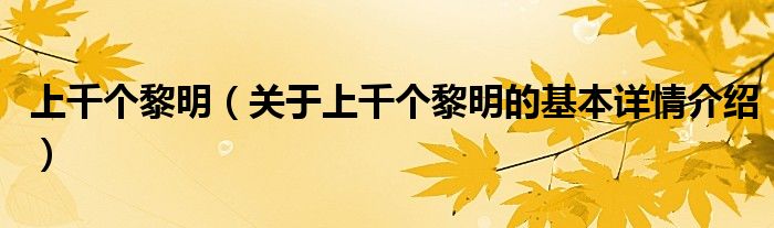 上千个黎明（关于上千个黎明的基本详情介绍）