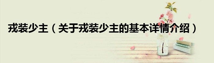 戎装少主（关于戎装少主的基本详情介绍）