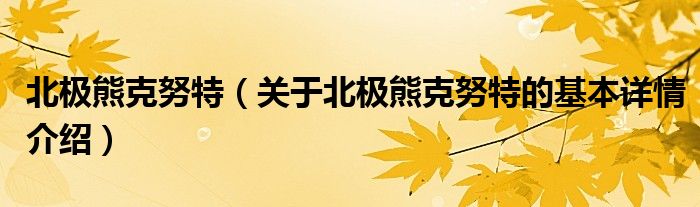 北极熊克努特（关于北极熊克努特的基本详情介绍）