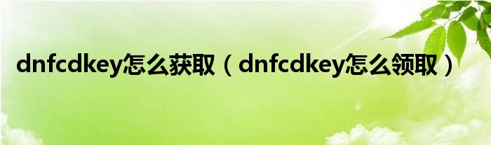 dnfcdkey怎么获取（dnfcdkey怎么领取）
