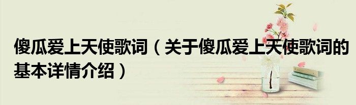 傻瓜爱上天使歌词（关于傻瓜爱上天使歌词的基本详情介绍）