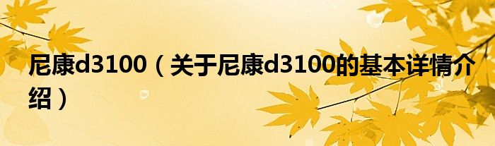 尼康d3100（关于尼康d3100的基本详情介绍）