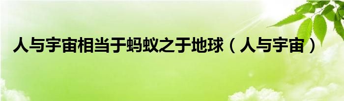人与宇宙相当于蚂蚁之于地球（人与宇宙）