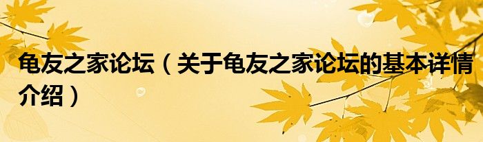 龟友之家论坛（关于龟友之家论坛的基本详情介绍）